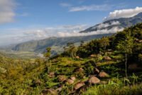 Alam Papua (Foto: Istock)