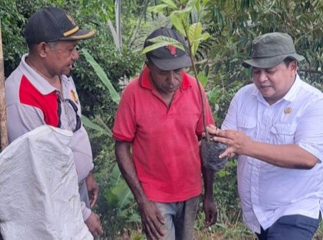 Plt. Kepala Dinas Perkebunan Fakfak Widhi Asmoro Jati, ST., MT., saat bersama masyarakat petani pala.