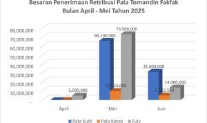 Diagram Besaran Penerimaan Retribusi Pala Tomandin Fakfak hingga Mei 2025 menunjukkan Peningkatan PAD meningkat begitu tinggi terjadi di bulan Mei 2025.