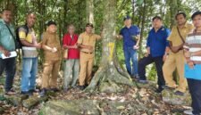 Tim gabungan Balai Besar Perbenihan dan Proteksi Tanaman Perkebunan Ambon bersama Dinas Tanaman Pangan, Hortikultura dan Perkebunan Provinsi Papua Barat bersama Dinas Perkebunan Fakfak melakukan evaluasi menyeluruh terhadap delapan kebun benih BPT dan tiga unit penangkar pala Tomandin sebagai bagian dari penyusunan rencana aksi hilirisasi pala di Fakfak.